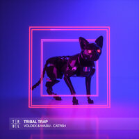 Catfish - Wasiu & Voldex