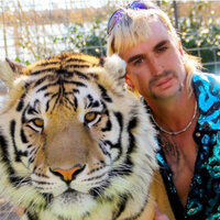 Tiger King Freestyle - Crichy Crich