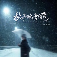 秋风吹雪泪飞 - 张艺迈