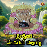 Srisailadi Nelasiruve Mallayya - Divya