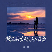 婚后的女人没有人疼惜 - 艺凌