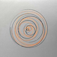 Geronticus Eremita - Polygonia