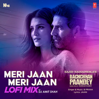 Meri Jaan Meri Jaan Lofi Mix - B Praak & Dj Amit Shah