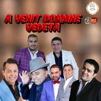 NU AM NIMIC DE DORIT DOINA - Florin Salam & Adrian Minune & Nicolae Guta & Jean de la Craiova & Vali Vijelie & Narcis
