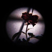 27 - lil cuifer 999 & 27