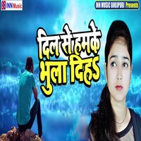 Dil Se Ham Ke Bhula Diha - Ravi Shankar