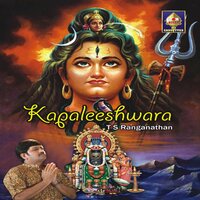 Namah Shiva Om Kapaleeshwara - T S Ranganathan