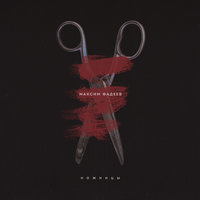 В области сердца - Максим Фадеев