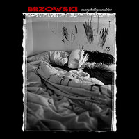 Roll My Bones - Brzowski feat. Astronautalis & K-the-I??? & Brzowski & Astronautalis & K-the-I???