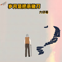 岁月是把杀猪刀 - 六仔哥