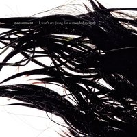 I Won't Cry - No Comment