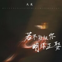 若不能被你明媒正娶 - 大美