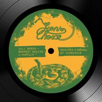 Serpent Behind a Curtain - Kali Green & Vibronics