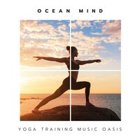Serene Butterfly Migration - Yoga Training Music Oasis