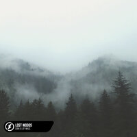 Lost Woods - lofi mage & Dom B