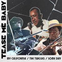 Blowing the Blues - Sonny Terry