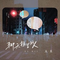 聊天框里的人 - 大美