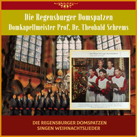 Es ist ein Ros' entsprungen - Die Regensburger Domspatzen & Domkapellmeister Prof. Dr. Theobald Schrems & Михаэль Преториус