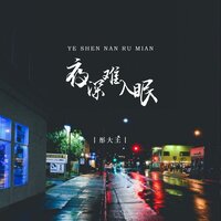 夜深难入眠 - 彤大王