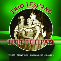 Non dimenticar le mie parole - Trio Lescano