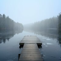 Gentle Peace Prevails - Wild Harmony & The Fish Flow Relaxation & Instrumental Relaxation