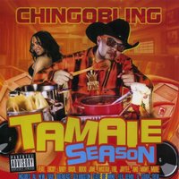 Chingo Goes Duro (Mr. Biagra) - Chingo Bling