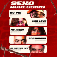 Sexo Agressivo - Mc Pai & Mad Love & Dj Martins mpc & MC nicky & POSTURADO
