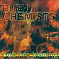 This sound - Bush Chemists