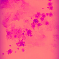 Stay - Covers Unplugged & Wild Issues