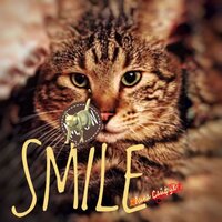 Smile - Remix - Лина Сайфул