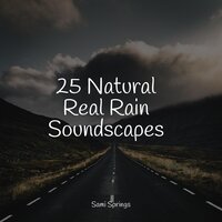 Late Night Rains - Guided Meditation Music Zone & Zen Music Garden & Binaural Beats Brain Waves Isochronic Tones Brain Wave Entertainment