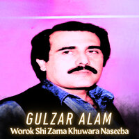 Worok Shi Zama Khuwara Naseeba - Gulzar Alam
