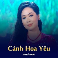 Chuyện Hợp Tan - Short Vesion 2 - Như Hoa