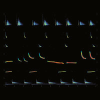 Reign Forest - Osunlade & Jineth Berrío-Martínez