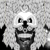 Come to My Galaxy - Did Virgo & Johanna