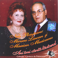 Hopa, hopa măi nevastă - Nelu Ploiesteanu & Mioara Lincan