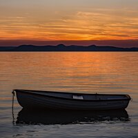 Fine Shusher Noise - Sleep Noise Machine