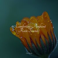 Lake, Water Lapping, Light - Soothing Nature Sounds & Brown Noise & Raindrops Sleep