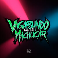 Vagabundo Vai Te Machucar - DJ VINICIN DO DG & Mc Fahah & MC Gw