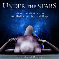 Starlit Calm - The Spiritual Voyager