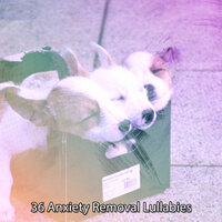 Dropping Off - Nature Sound Series