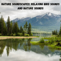 Gentle Rain - Nature Sounds Nature Music & Sounds of Nature Noise & The Outdoor Library