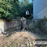 Whatever I Feel Like - Joe Raphael