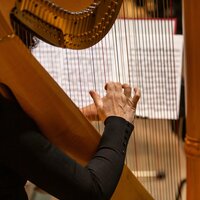 Soft Journey Quiets Mind - Electronic Music Masters & Atmospheric Force & Nature Noise