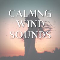 Nature Wind Sounds - Nature Queen