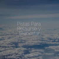 Siente La Paz - Musica Relajante New Age Culture & Mantra para Meditar & Dormir Mucho
