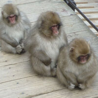 nevada - work3rworldwide