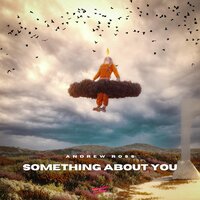 Something About You - Andrew Ross