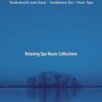 Exciting Vipassana - Relaxing Spa Music Collections