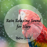 Spring Thunder - Music For Studying and Concentration & Study Power & Spa Music Experience